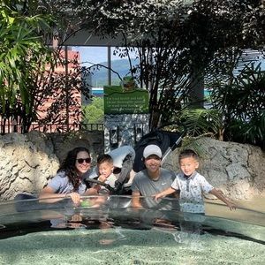 Meet your Posher, Allison